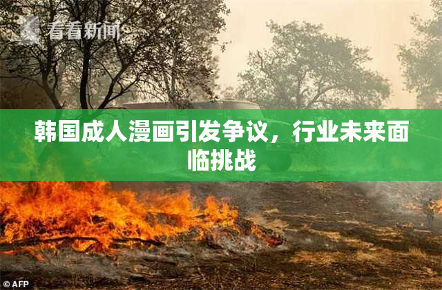 韩国成人漫画引发争议，行业未来面临挑战