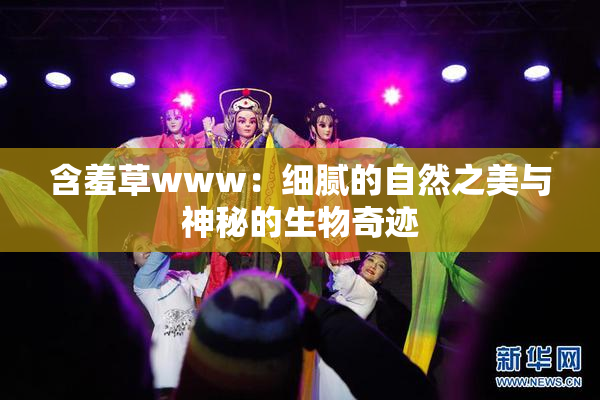 含羞草www：细腻的自然之美与神秘的生物奇迹