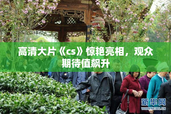 高清大片《cs》惊艳亮相，观众期待值飙升