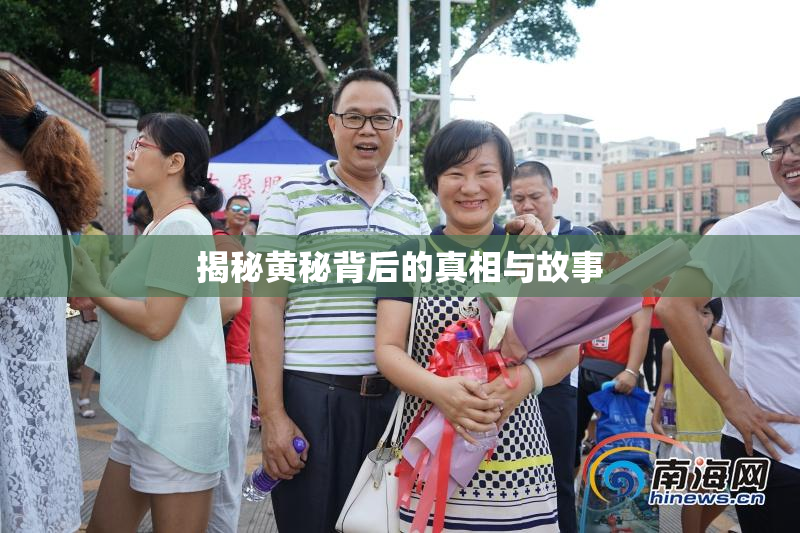 揭秘黄秘背后的真相与故事