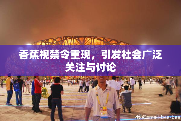 香蕉视禁令重现，引发社会广泛关注与讨论