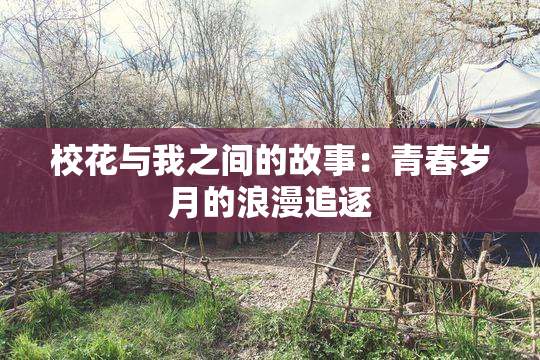 校花与我之间的故事：青春岁月的浪漫追逐