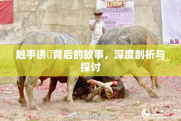 触手诱奷背后的故事，深度剖析与探讨