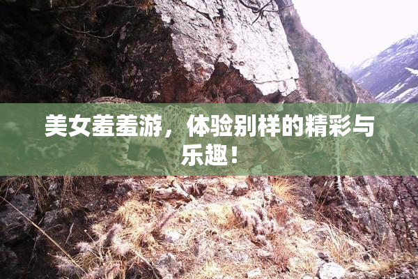 美女羞羞游，体验别样的精彩与乐趣！