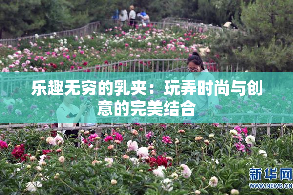 乐趣无穷的乳夹：玩弄时尚与创意的完美结合