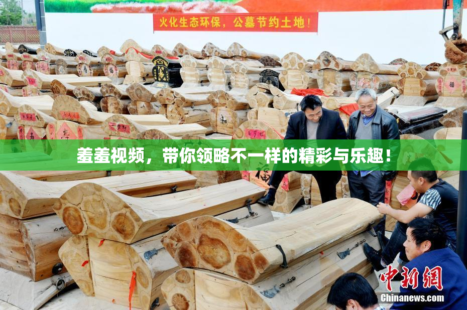 羞羞视频，带你领略不一样的精彩与乐趣！