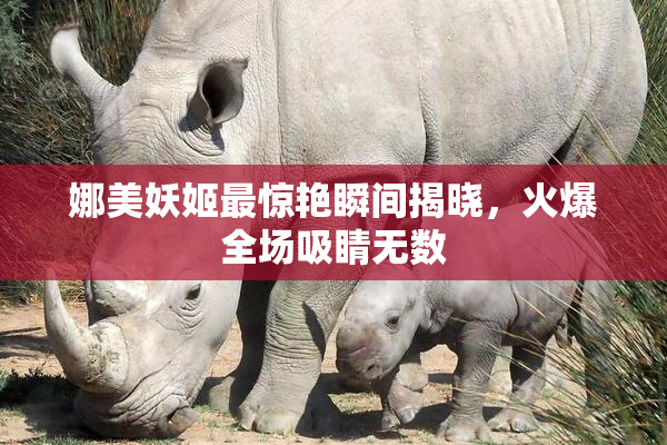 娜美妖姬最惊艳瞬间揭晓，火爆全场吸睛无数
