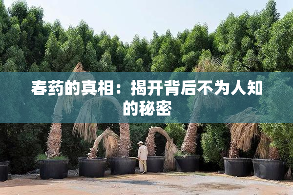 春药的真相：揭开背后不为人知的秘密