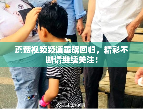 蘑菇视频频道重磅回归，精彩不断请继续关注！