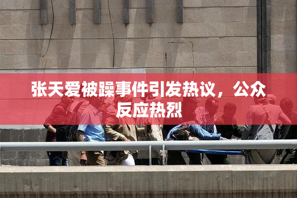 张天爱被躁事件引发热议，公众反应热烈