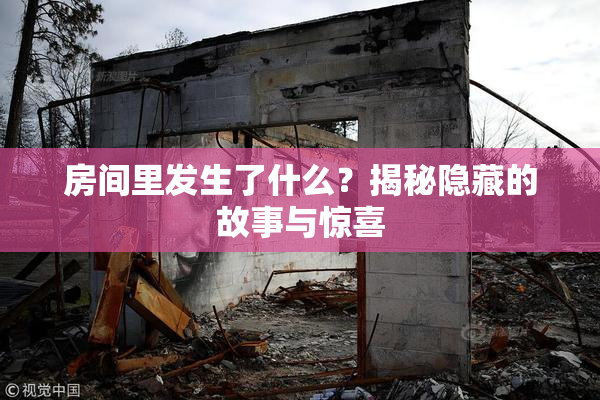 房间里发生了什么？揭秘隐藏的故事与惊喜