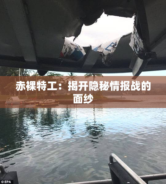 赤裸特工：揭开隐秘情报战的面纱