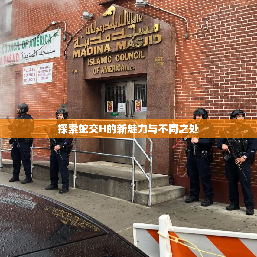 探索蛇交H的新魅力与不同之处