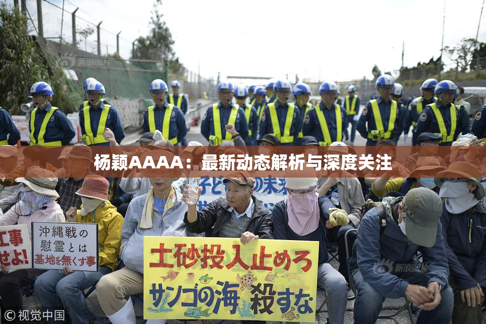 杨颖AAAA：最新动态解析与深度关注