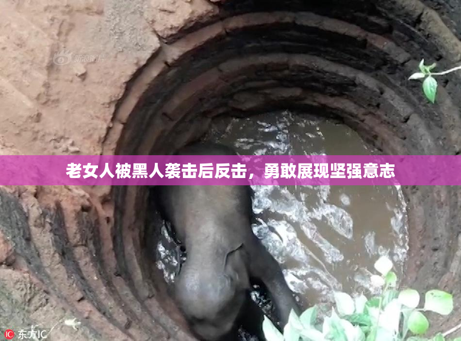 老女人被黑人袭击后反击，勇敢展现坚强意志