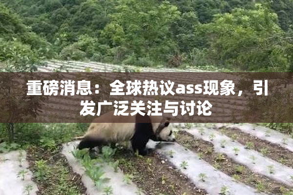重磅消息：全球热议ass现象，引发广泛关注与讨论