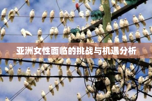 亚洲女性面临的挑战与机遇分析