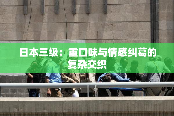日本三级：重口味与情感纠葛的复杂交织