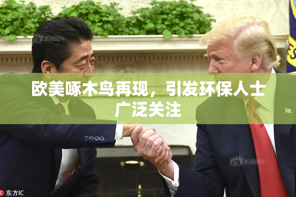 欧美啄木鸟再现，引发环保人士广泛关注