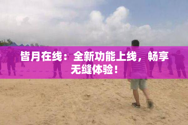 皆月在线：全新功能上线，畅享无缝体验！