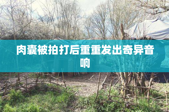 肉囊被拍打后重重发出奇异音响