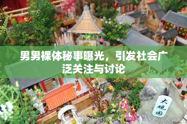 男男裸体秘事曝光，引发社会广泛关注与讨论