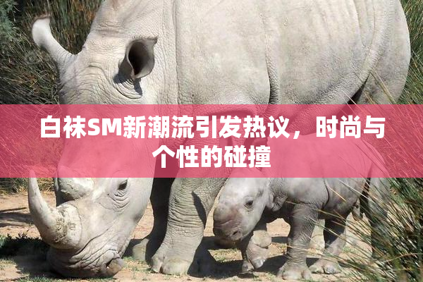 白袜SM新潮流引发热议，时尚与个性的碰撞