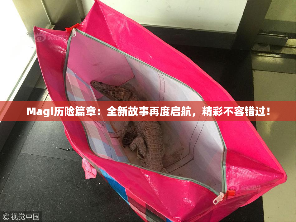 Magi历险篇章：全新故事再度启航，精彩不容错过！