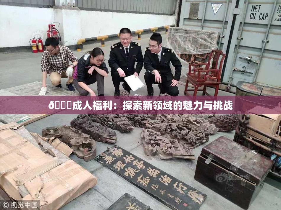 🔞成人福利：探索新领域的魅力与挑战
