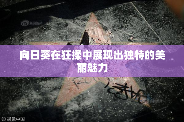 向日葵在狂揉中展现出独特的美丽魅力
