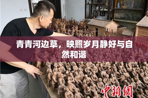 青青河边草，映照岁月静好与自然和谐