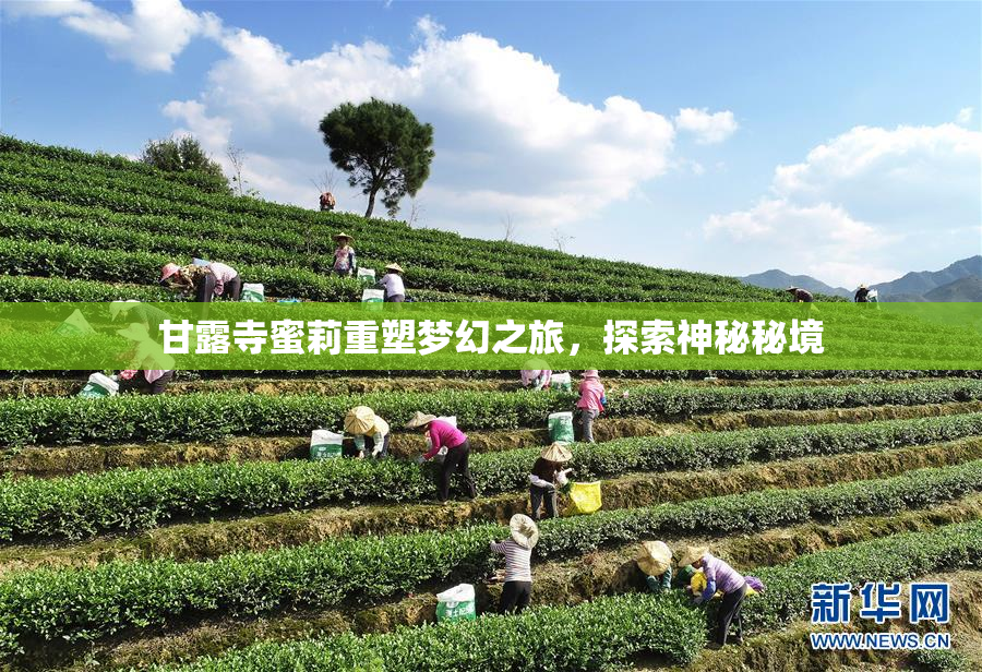 甘露寺蜜莉重塑梦幻之旅，探索神秘秘境