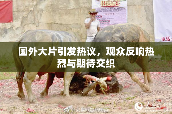 国外大片引发热议，观众反响热烈与期待交织