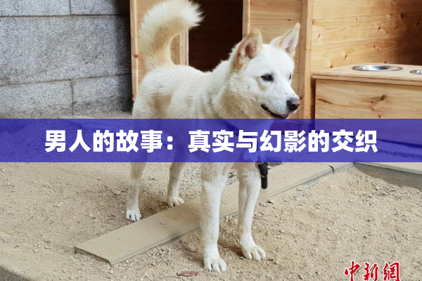 男人的故事：真实与幻影的交织