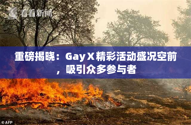重磅揭晓：GayⅩ精彩活动盛况空前，吸引众多参与者