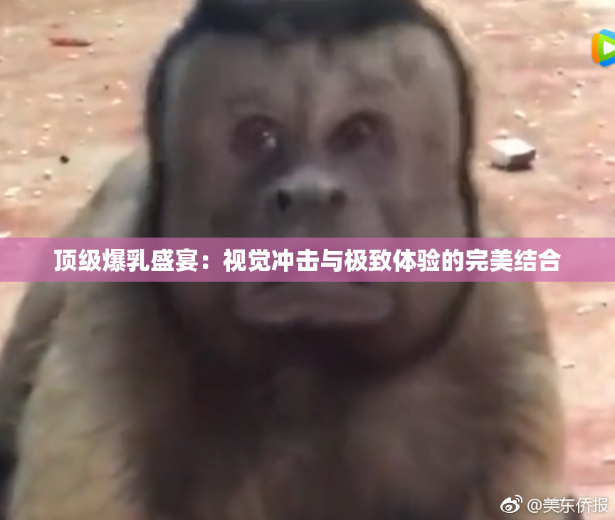 顶级爆乳盛宴：视觉冲击与极致体验的完美结合