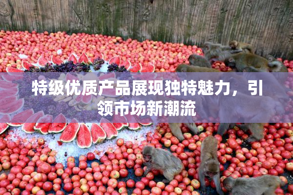 特级优质产品展现独特魅力，引领市场新潮流