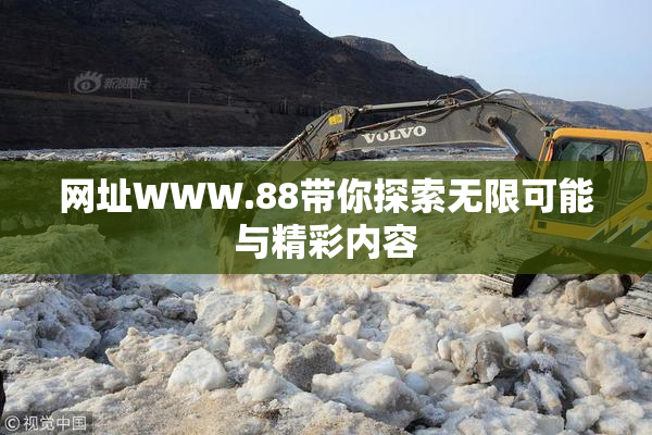 网址WWW.88带你探索无限可能与精彩内容