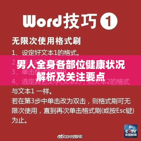 男人全身各部位健康状况解析及关注要点