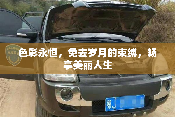 色彩永恒，免去岁月的束缚，畅享美丽人生