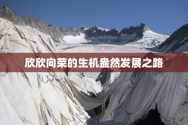 欣欣向荣的生机盎然发展之路