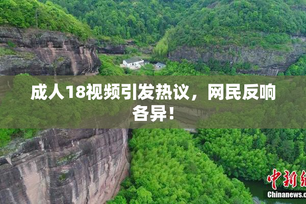 成人18视频引发热议，网民反响各异！