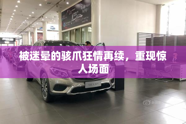被迷晕的骇爪狂情再续，重现惊人场面