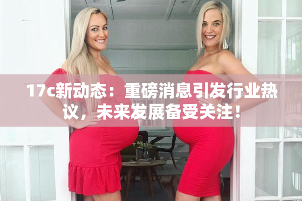17c新动态：重磅消息引发行业热议，未来发展备受关注！