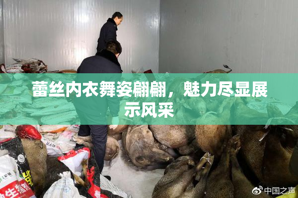 蕾丝内衣舞姿翩翩，魅力尽显展示风采