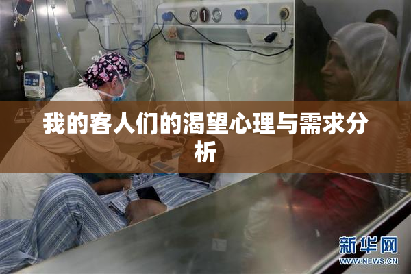 我的客人们的渴望心理与需求分析