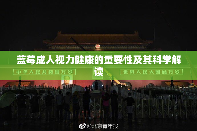 蓝莓成人视力健康的重要性及其科学解读