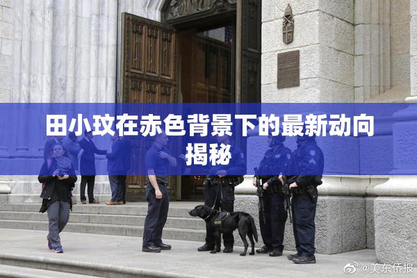 田小玟在赤色背景下的最新动向揭秘