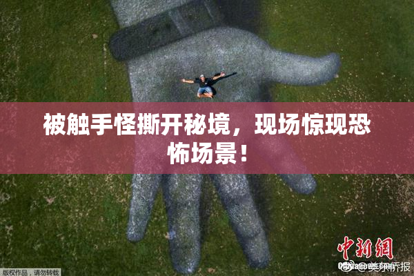 被触手怪撕开秘境，现场惊现恐怖场景！