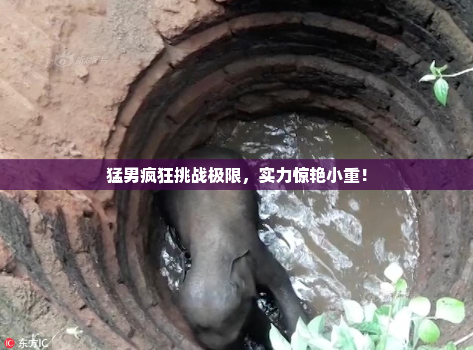 猛男疯狂挑战极限，实力惊艳小重！
